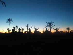 Balade à dos de Dromadaire au coucher du soleil Marrakech