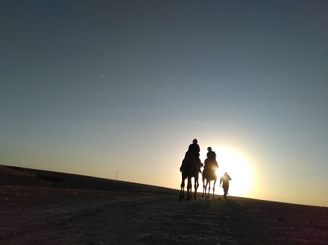Balade en Chameau au coucher de soleil désert Agafay